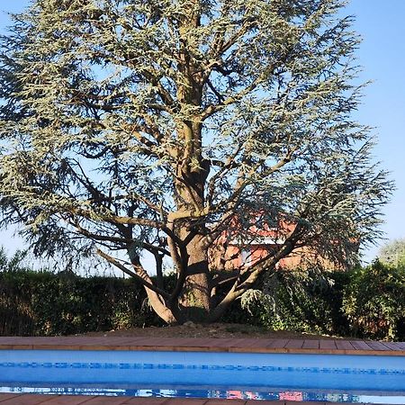 Villa Cresto Gaglianico Esterno foto